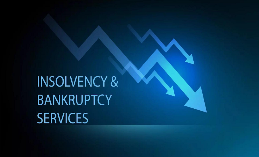 Service Provider of Insolvency & Bankruptcy Services in New Delhi, Delhi, India